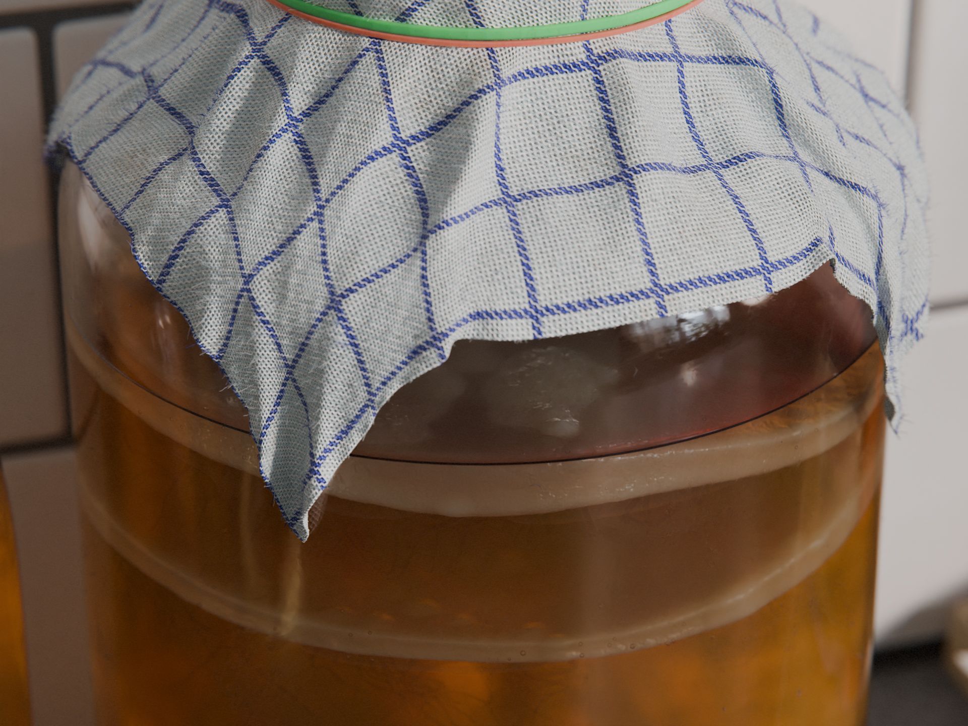 Closeup of kombucha culture in jar.